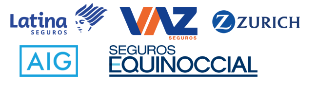 imagen_formulario-individual-vehiculo-logo-seguros-movil