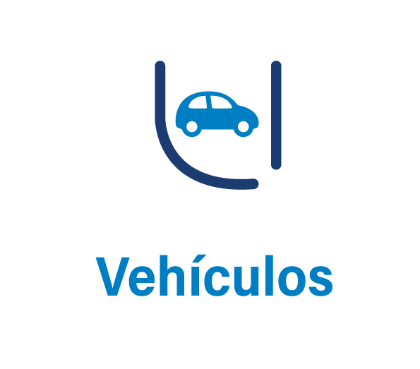 seguro-vehicular-formulario